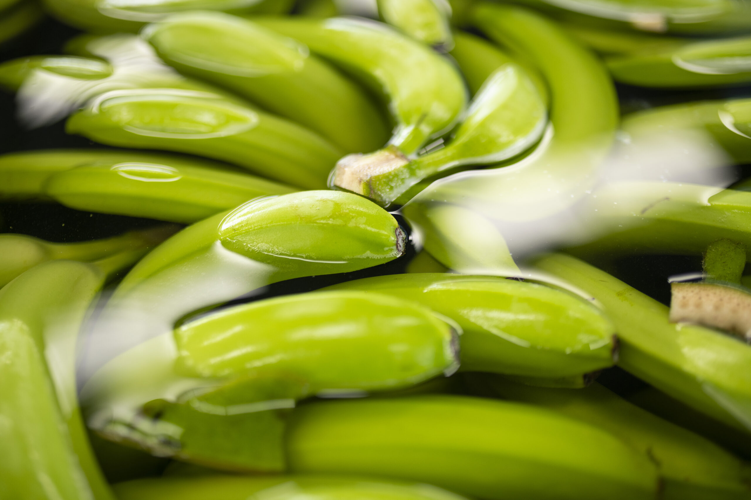 Frutas de Calidad